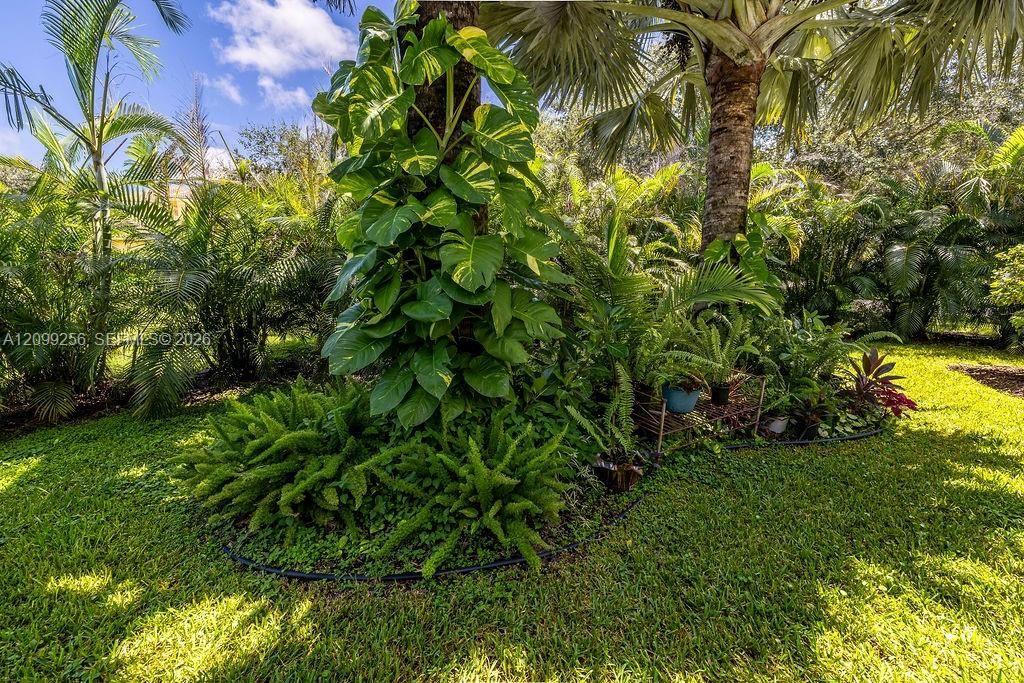 For Sale: $625,000 (4 beds, 3 baths, 3235 Square Feet)