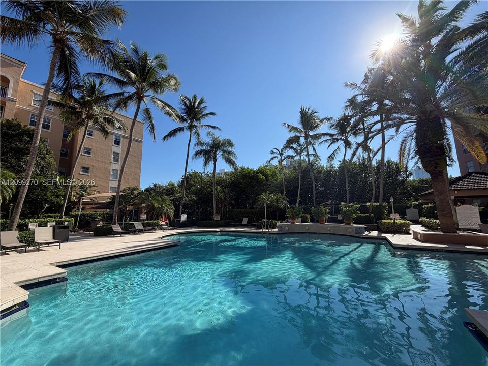 Swimming pool with light-colored tile decking, perimeter landscaping, and mature palm trees