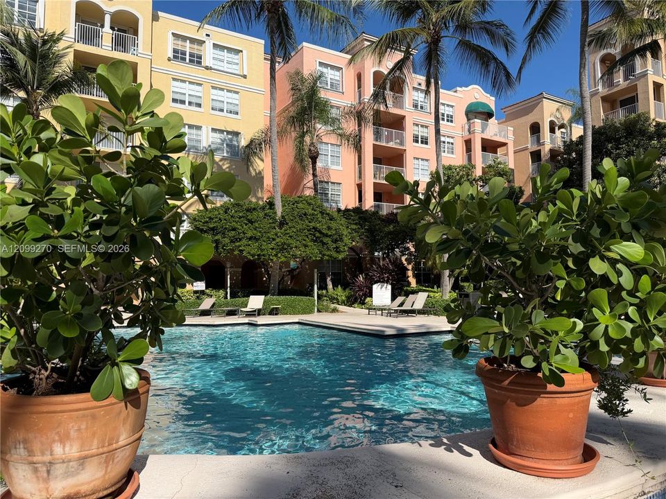 Swimming pool featuring a concrete deck, mature palm trees, and multi-story building facade with private balconies