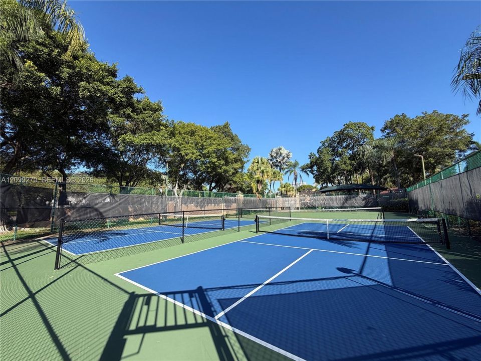 Dual outdoor courts featuring blue and green acrylic surfacing, chain-link perimeter fencing, and mature tree landscaping