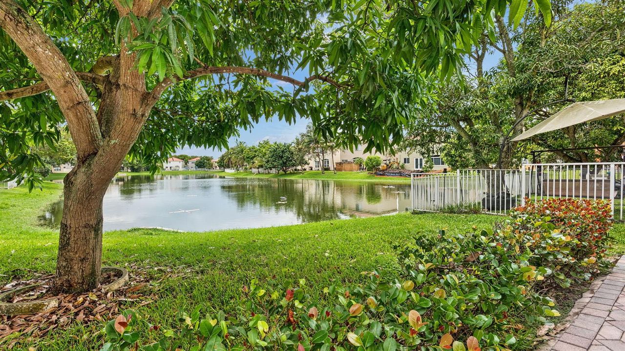 35-web-or-mls-DSC09202