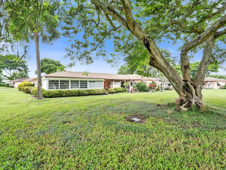 4-web-or-mls-DSC00650
