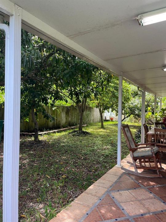 Backyard