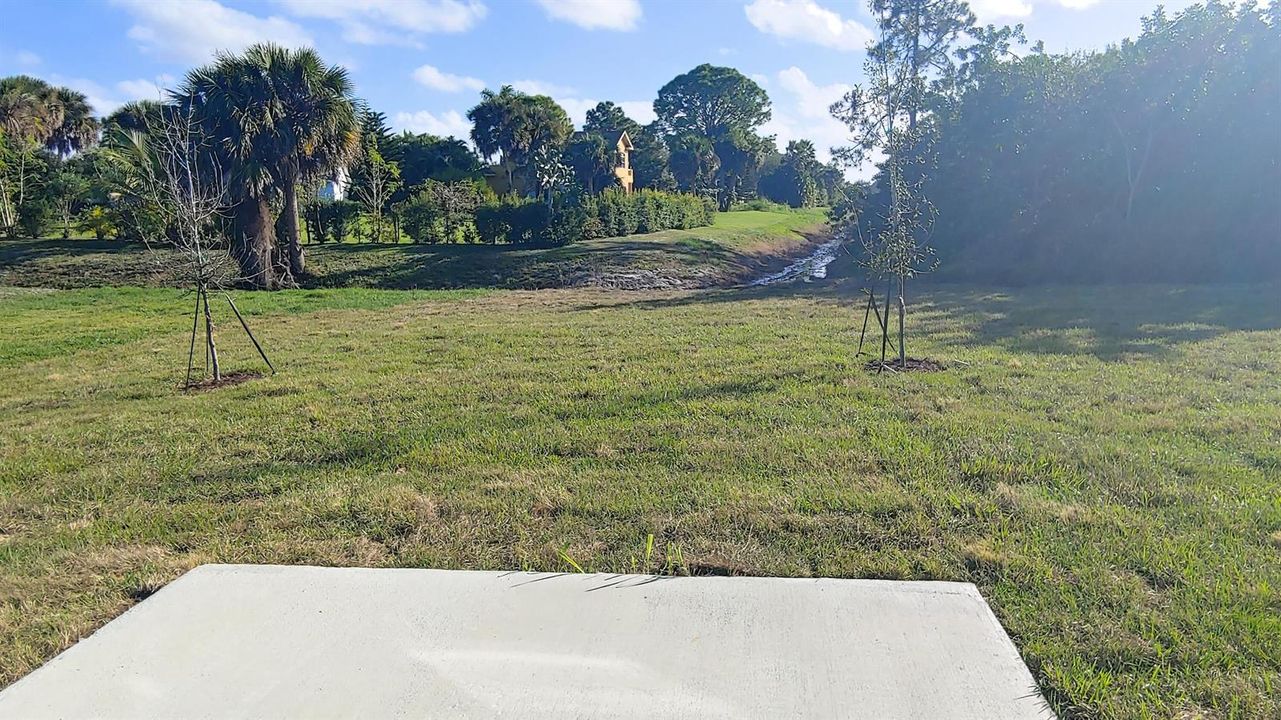 Backyard 2