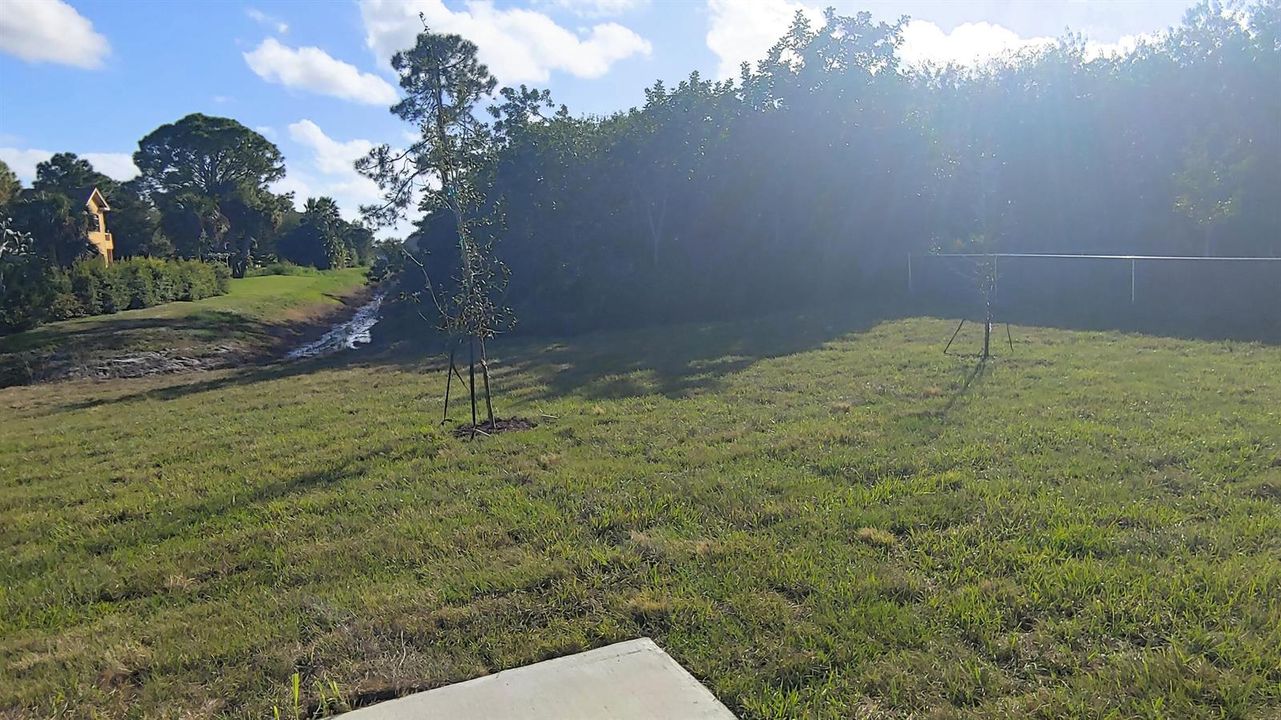 Backyard 1