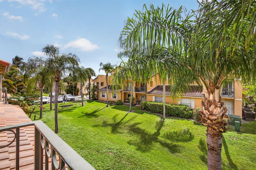 35-web-or-mls-5D1A3564
