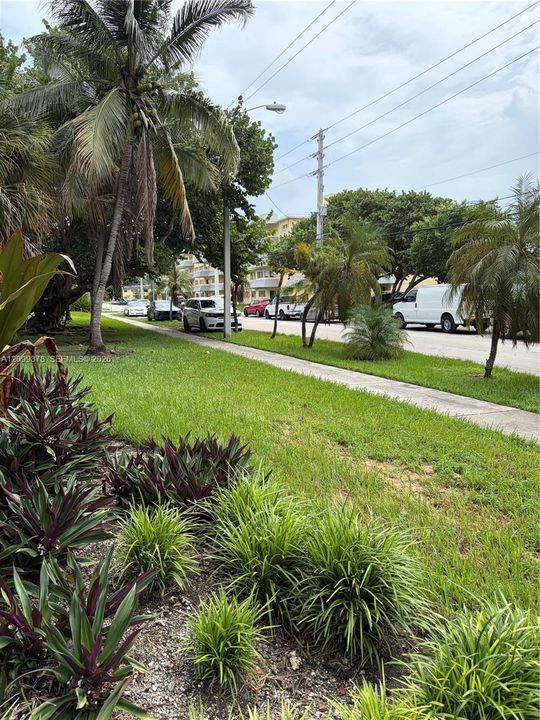 Outside of the Complex