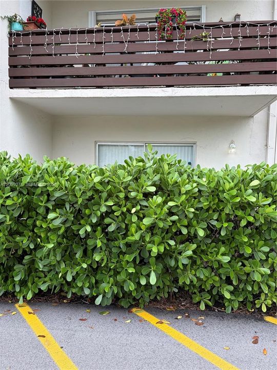 front view facing parking lot.