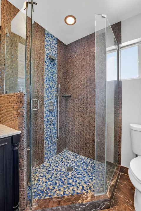 Master Bathroom Shower