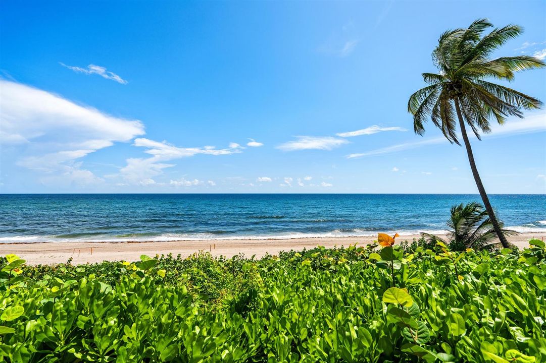 OCEAN VIEW