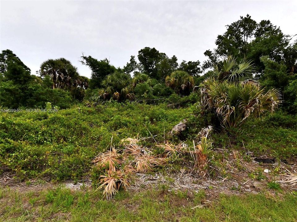 For Sale: $20,000 (0.22 acres)