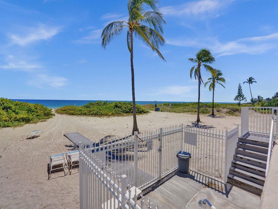 32-web-or-mls-ROY03153