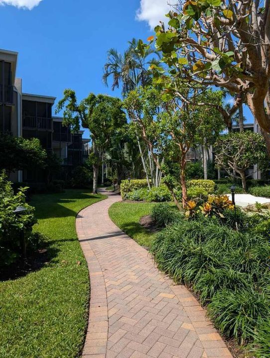 imagejpeg_1_2