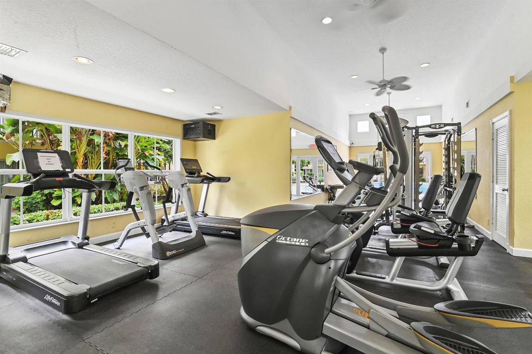 41 gym 02