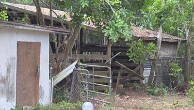 outbuilding