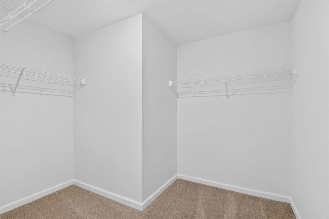 32-web-or-mls-5P1A3061