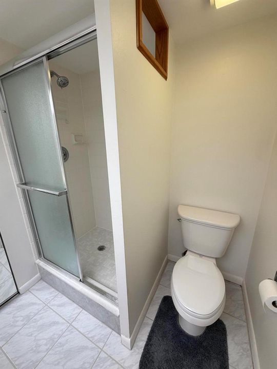 PRIMARY BATH SHOWER