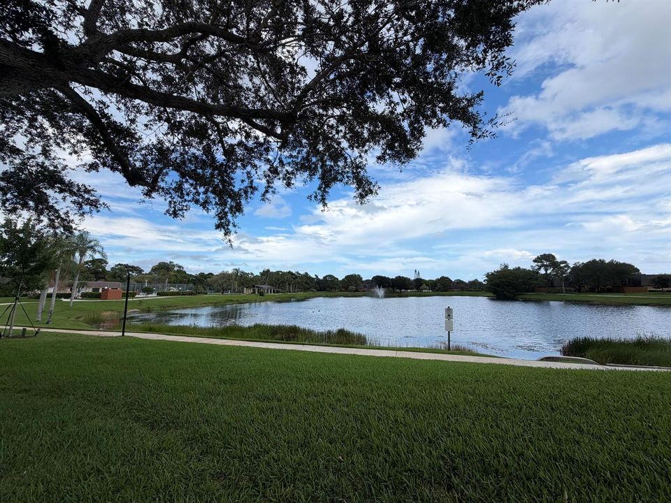 LAKE VIEW FROM YARD