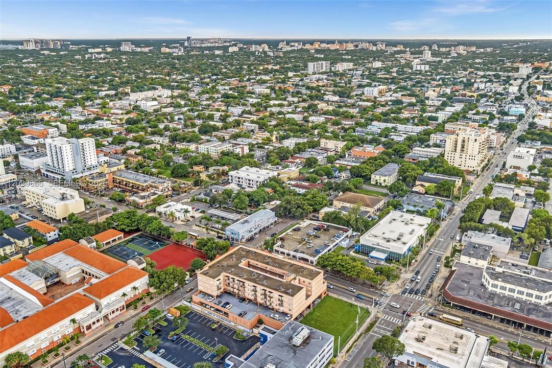 Expansive urban landscape with extensive tree canopy, diverse architecture, and established roadways