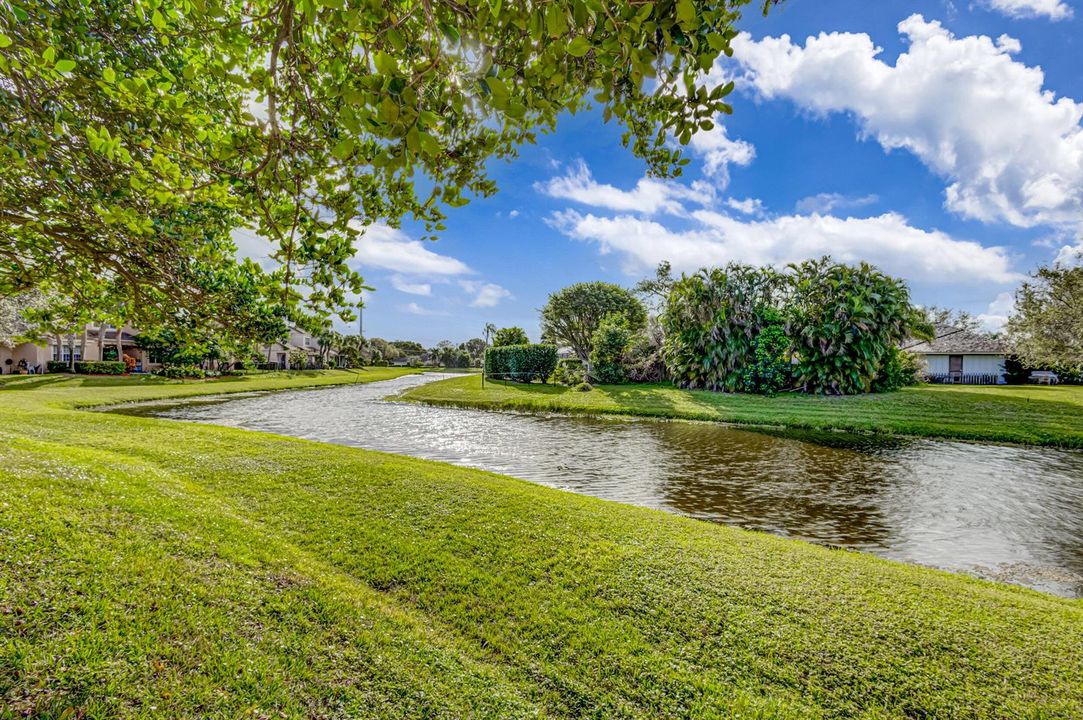 Lake view