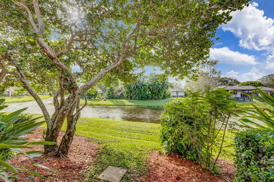 Lake view