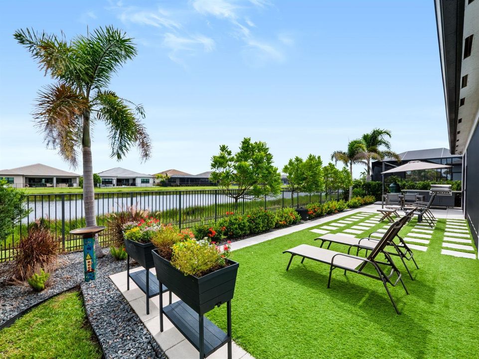 Back Yard