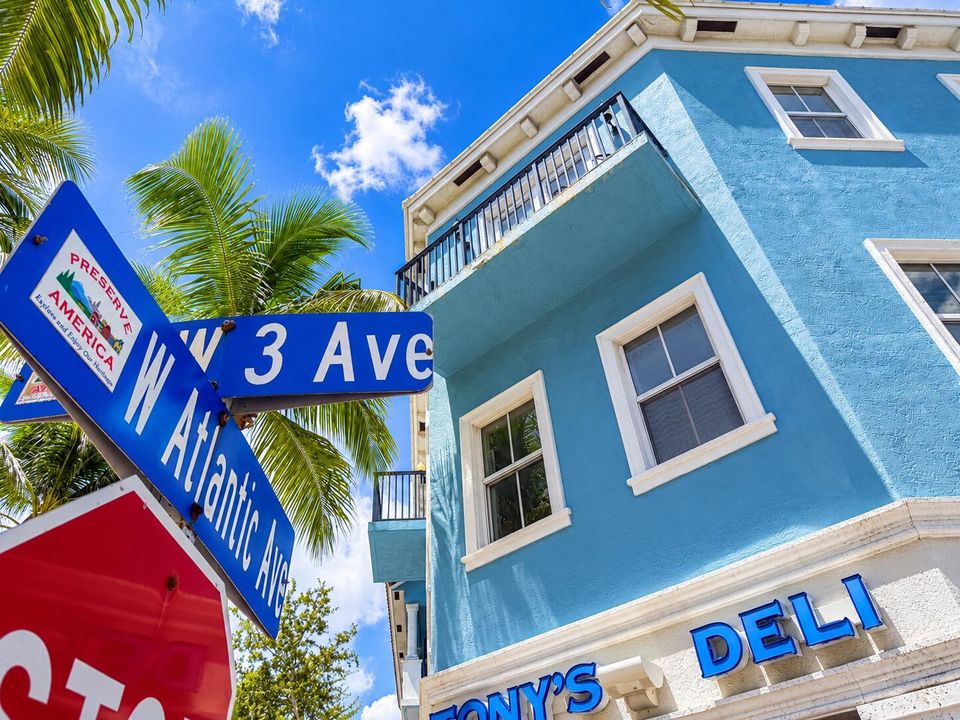 Sunny Florida Street Corner with Palm-Fr