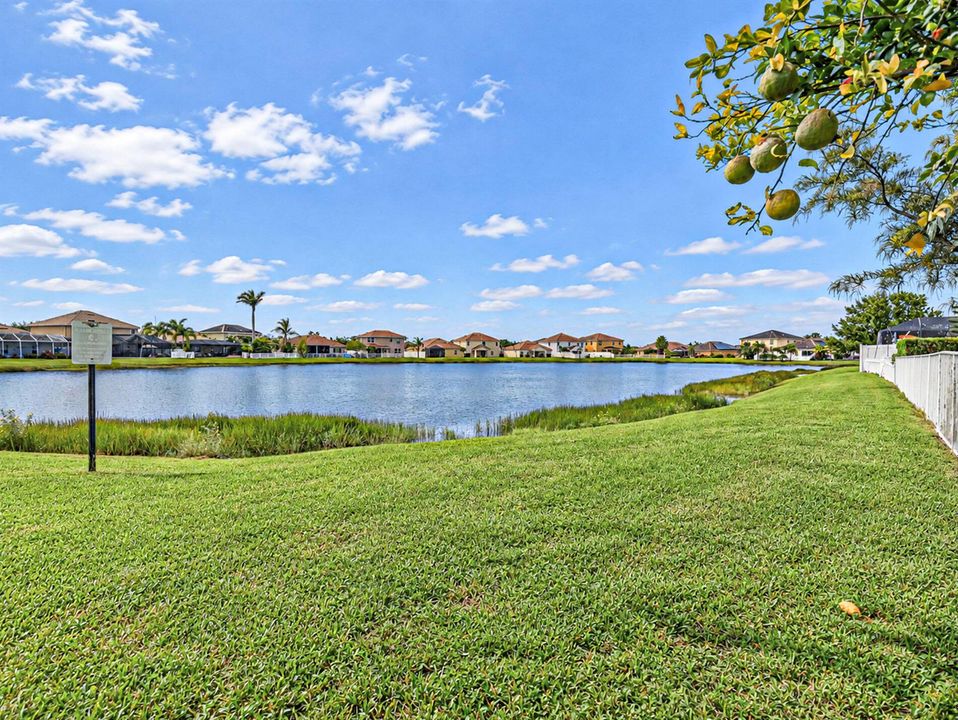 Lake View from