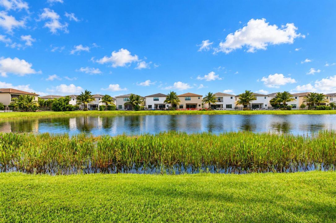 Lake View 2