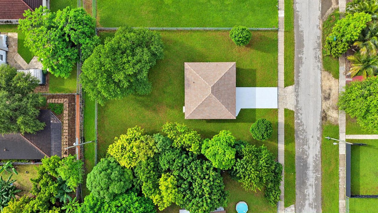 Top-Down Aerial Drone View