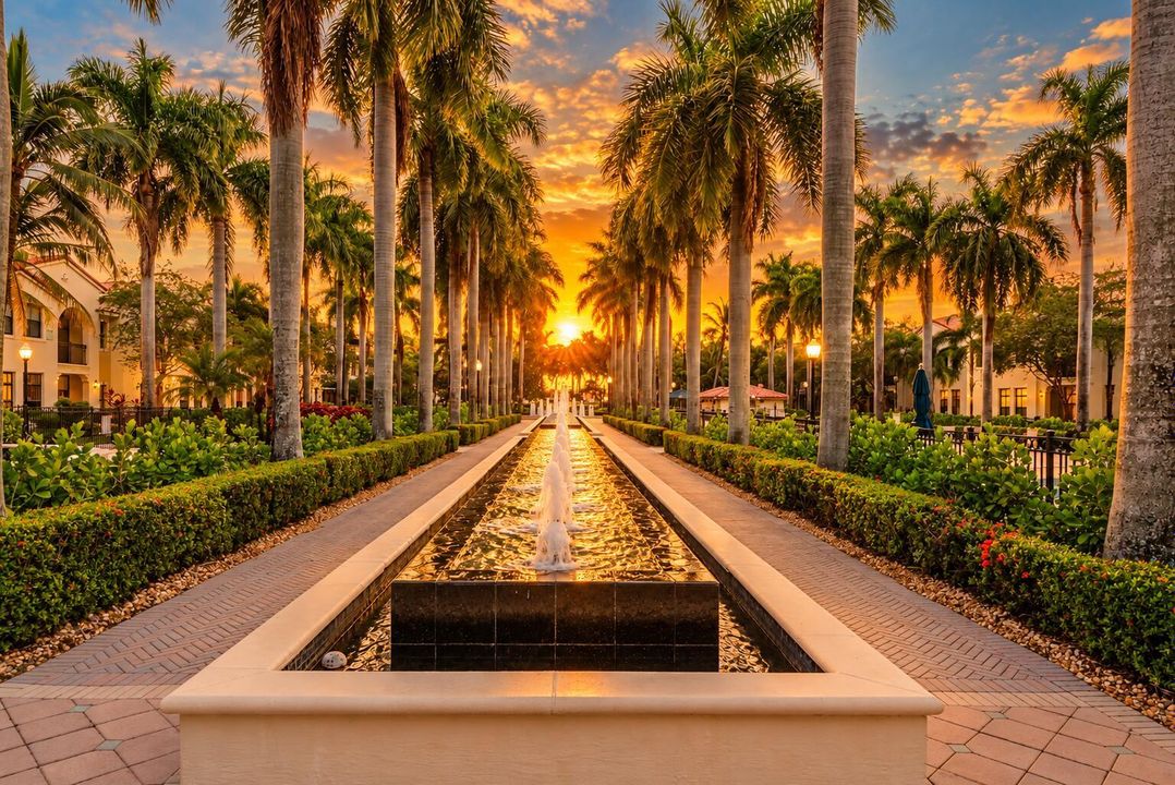 Golden Palm Courtyard at Sunset