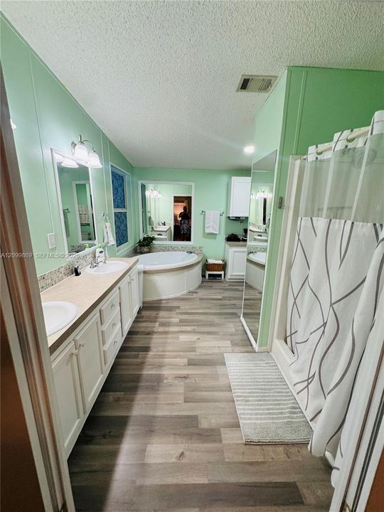 LARGE Master Bathroom, tub & shower, dual sinks and cabinets for additional storage area
