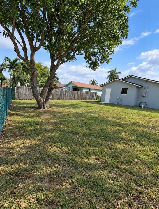 Backyard
