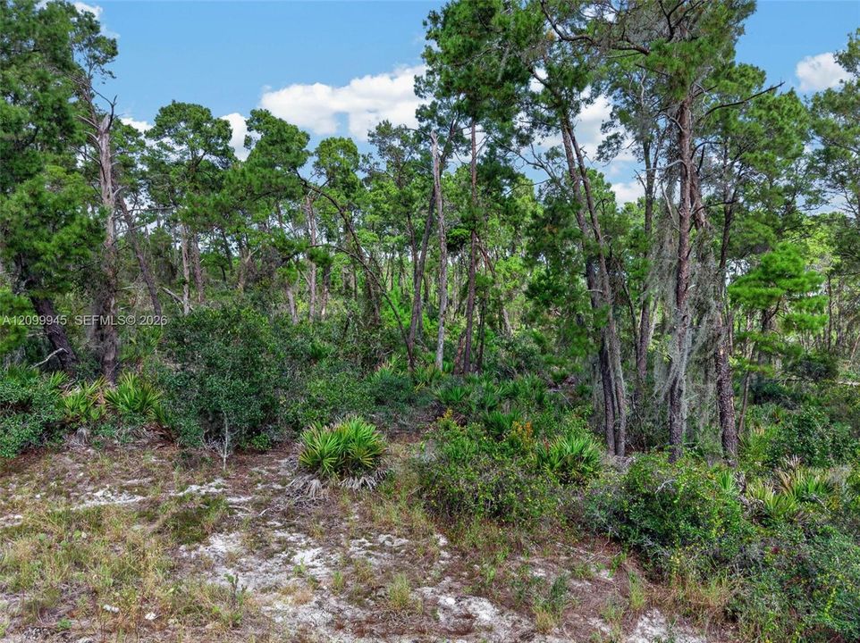 En Venta: $50,000 (0.23 acres)