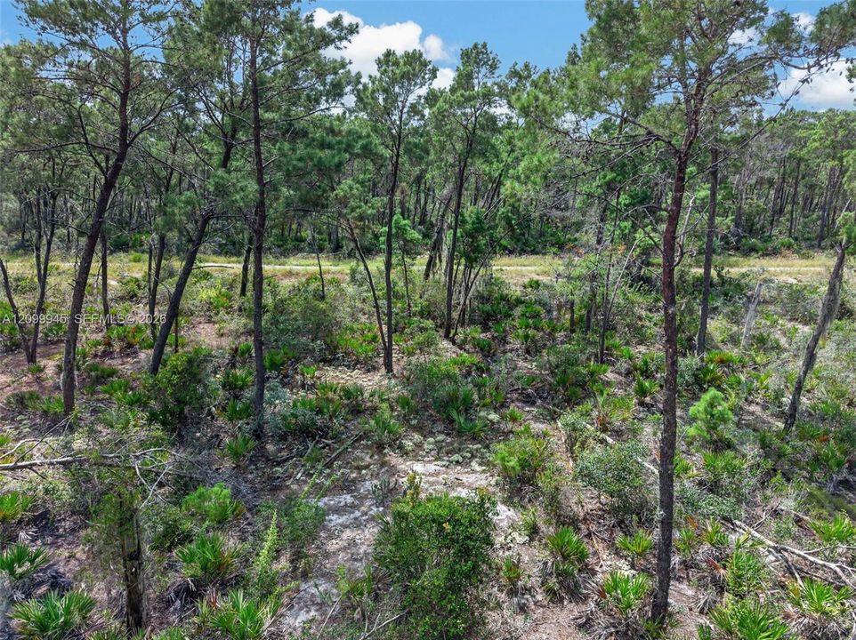 En Venta: $50,000 (0.23 acres)