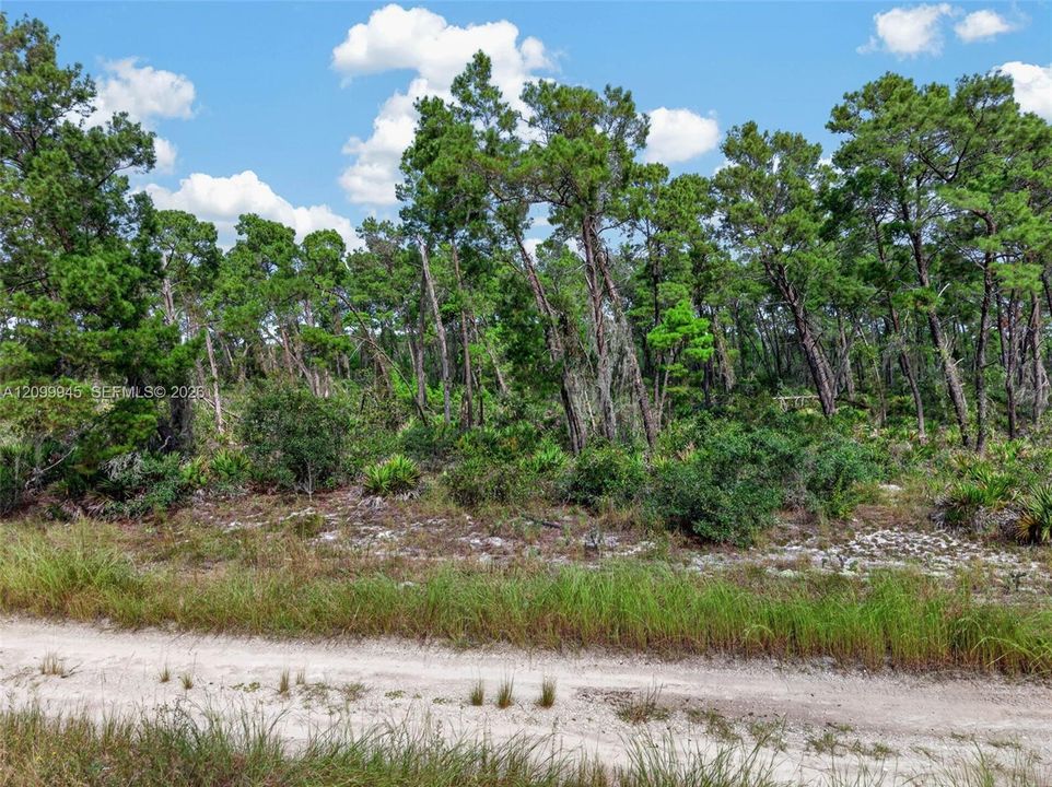 En Venta: $50,000 (0.23 acres)