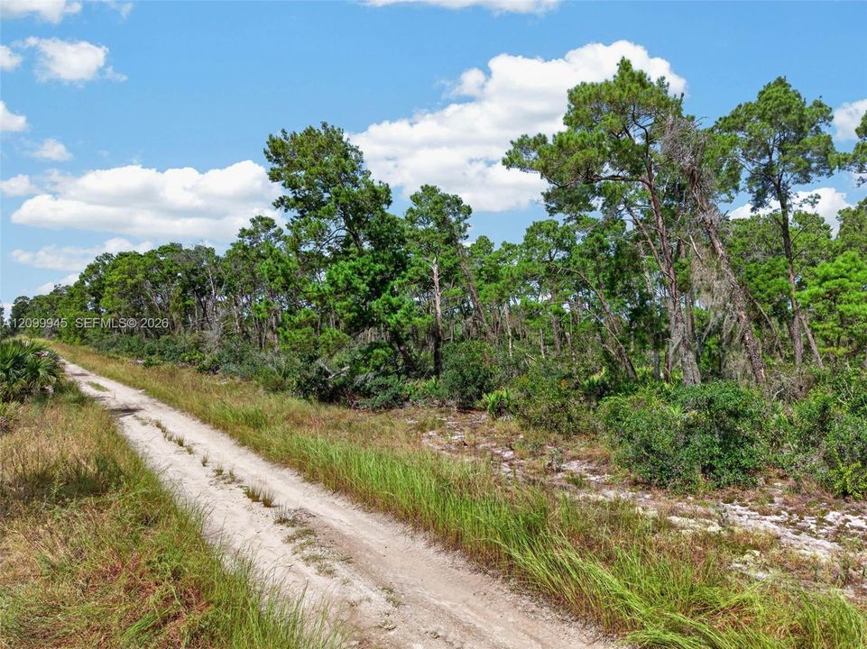 En Venta: $50,000 (0.23 acres)