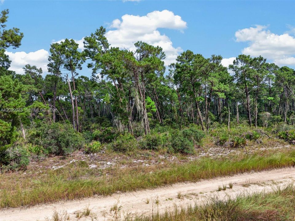 En Venta: $50,000 (0.23 acres)