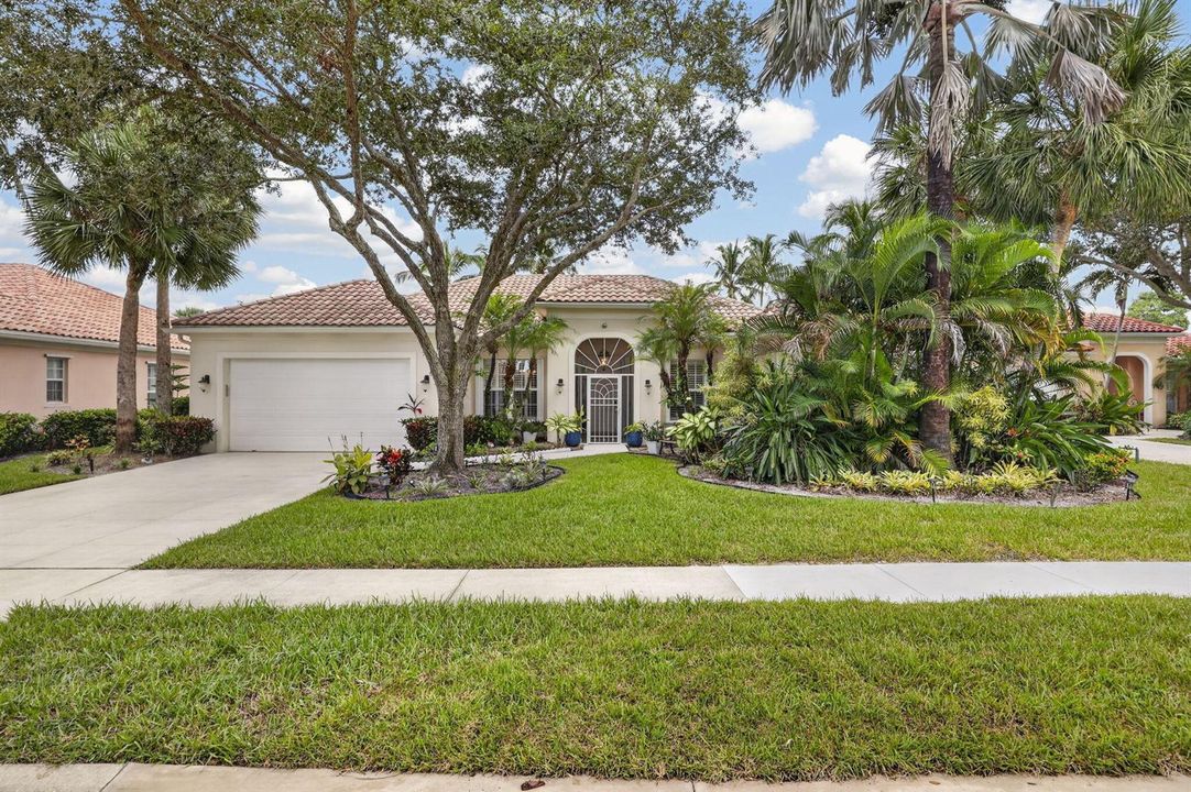 3-web-or-mls-BS1A5951
