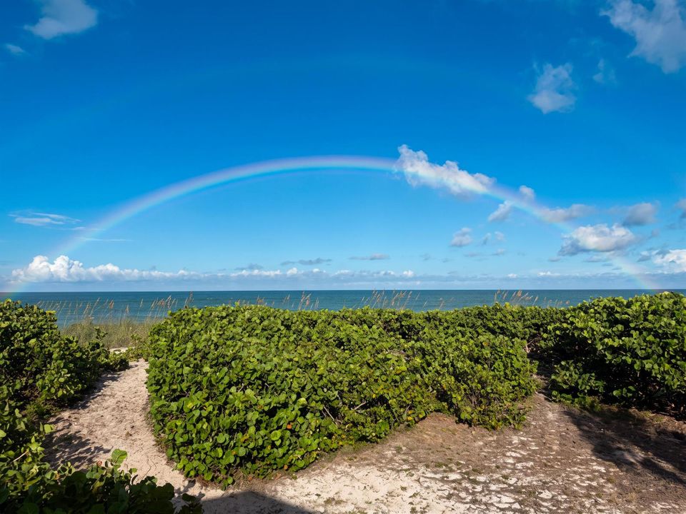 Rainbows