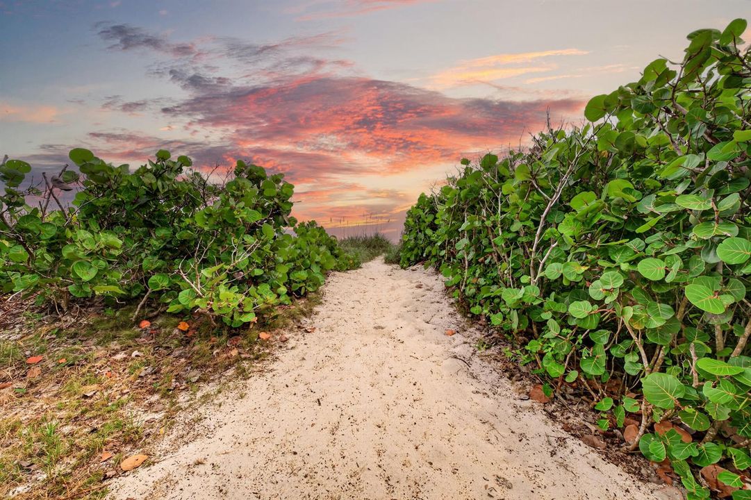 Path to Beach