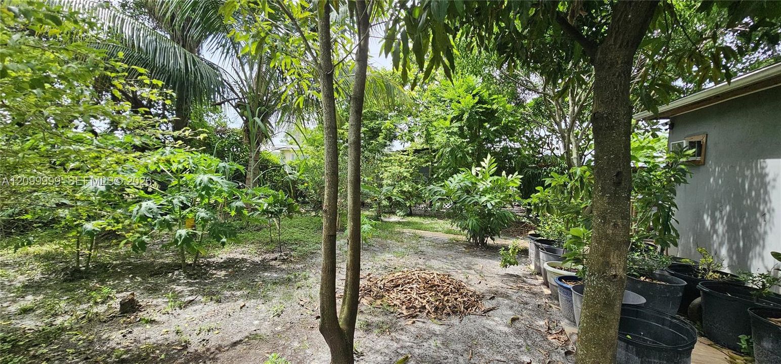 For Sale: $530,000 (6 beds, 2 baths, 1226 Square Feet)