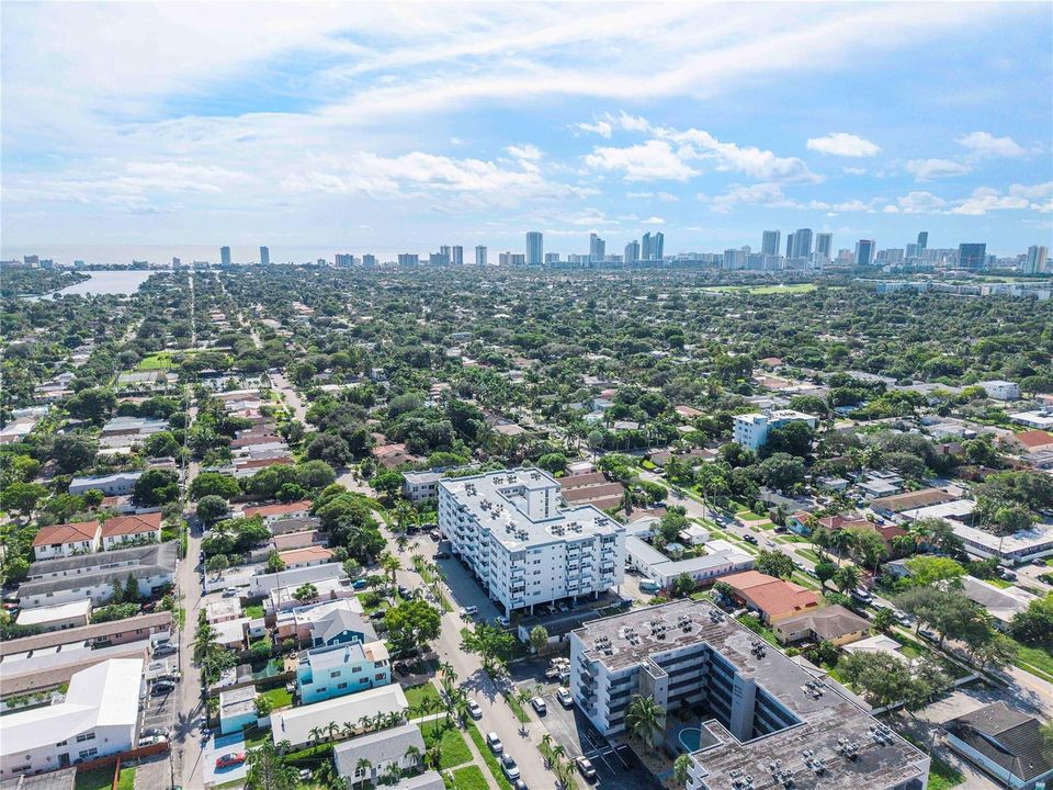 View from Drone