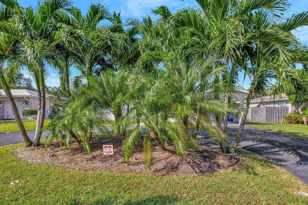 3-web-or-mls-699A3575