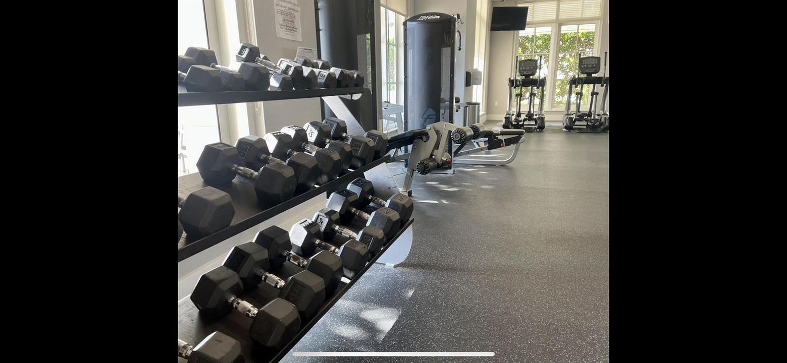 Gim