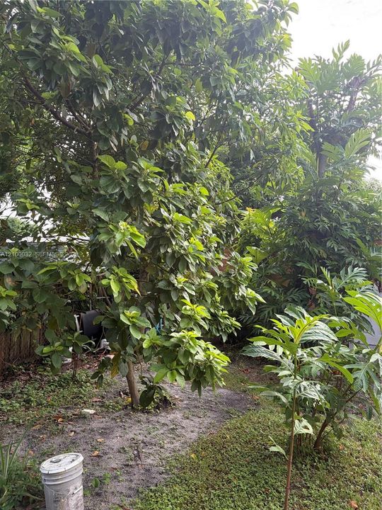 For Rent: $3,600 (3 beds, 2 baths, 2088 Square Feet)
