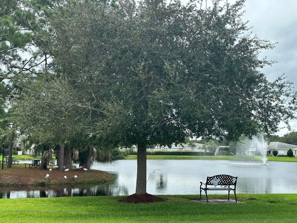 HP Lake - Copy