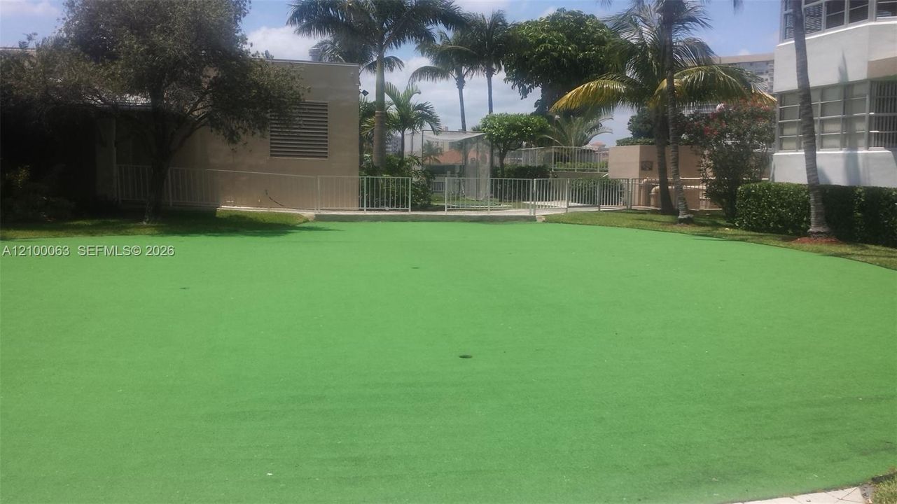 PUTTING GOLF  and DRIVING SWING NET..