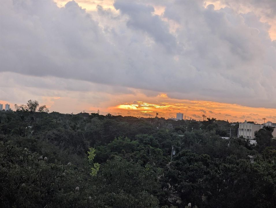 PXL_20261003_112354737