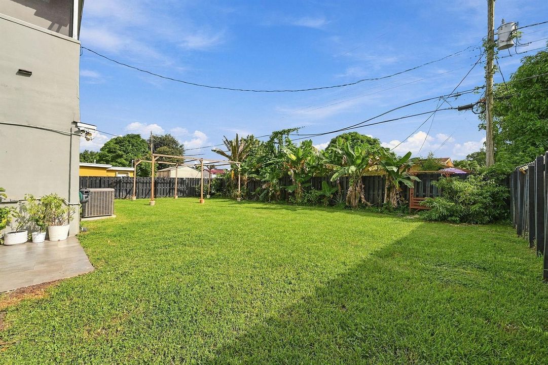 Yard